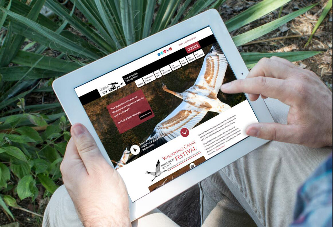 外貿(mào)客戶開發(fā)小工具簡單實用關(guān)鍵是免費,深圳龍崗網(wǎng)站建設(shè)公司,龍崗網(wǎng)站制作